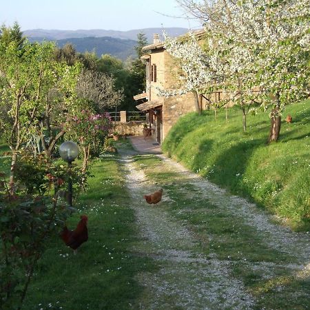 Podere La Vigna Locazione Turistica Casa de hóspedes Orvieto Exterior foto