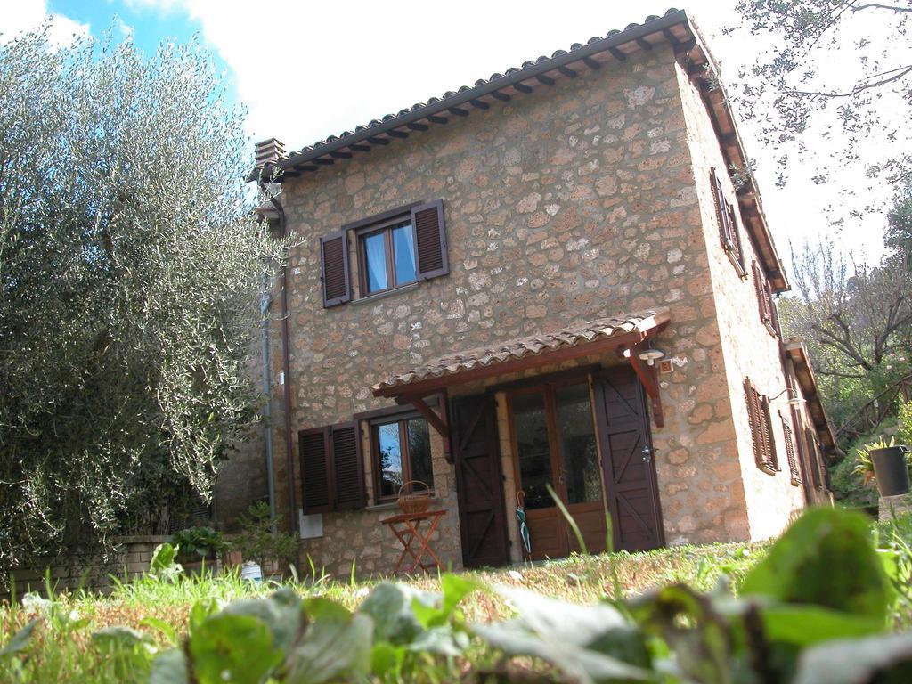 Podere La Vigna Locazione Turistica Casa de hóspedes Orvieto Quarto foto