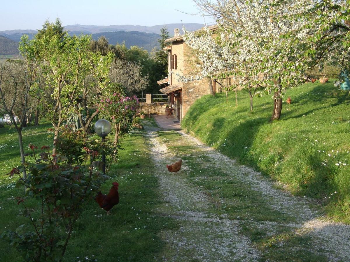 Podere La Vigna Locazione Turistica Casa de hóspedes Orvieto Exterior foto